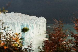 Argentine